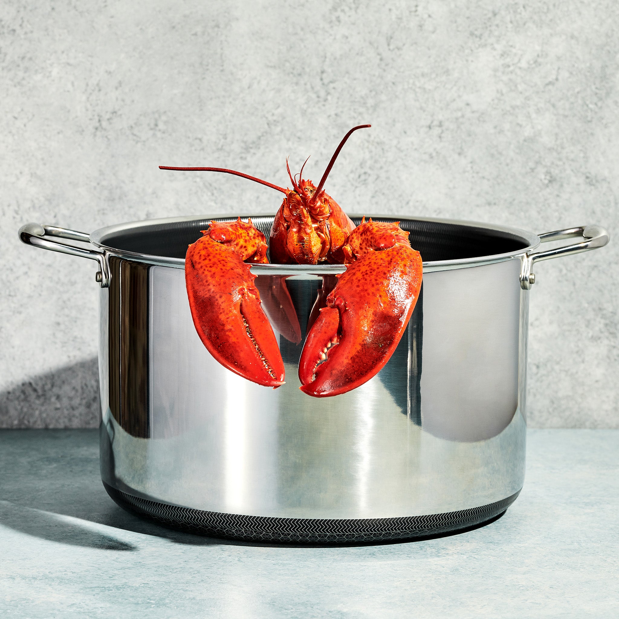 日本発】エッグパン – ヘックスクラッド